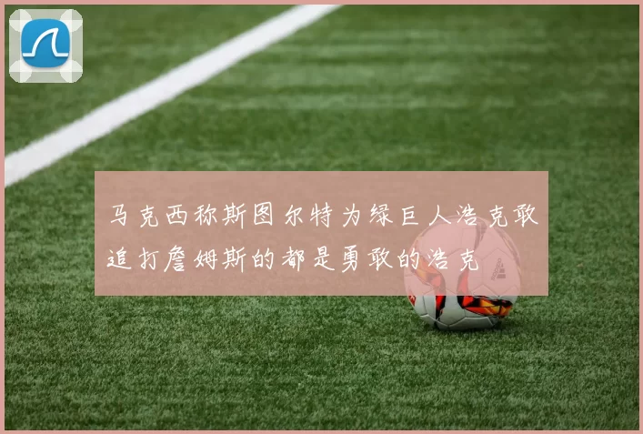 马克西称斯图尔特为绿巨人浩克敢追打詹姆斯的都是勇敢的浩克
