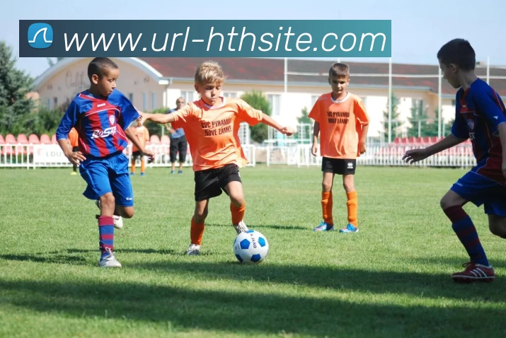 华体会平台生态图